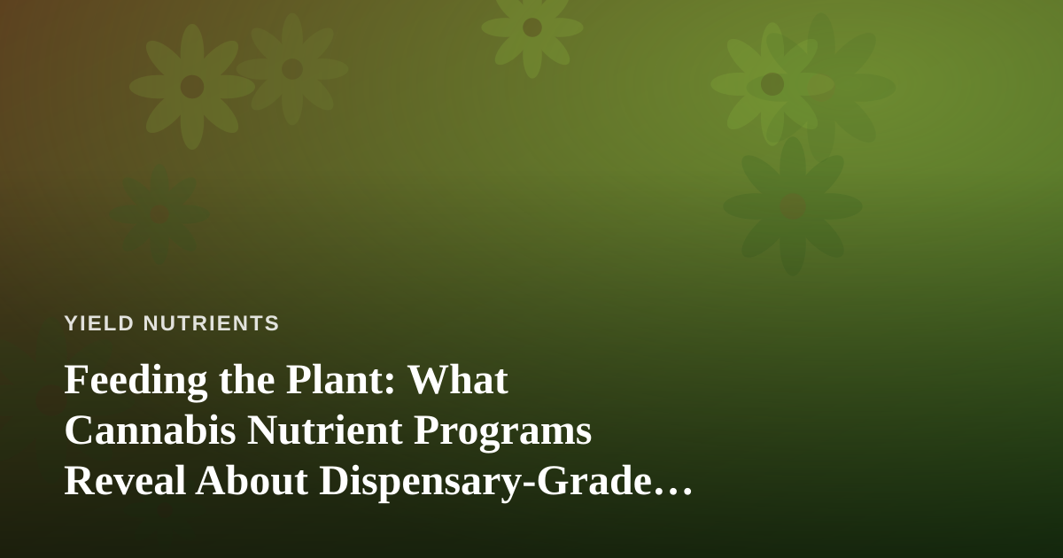 Feeding the Plant: What Cannabis Nutrient Programs Reveal About Dispensary-Grade Quality