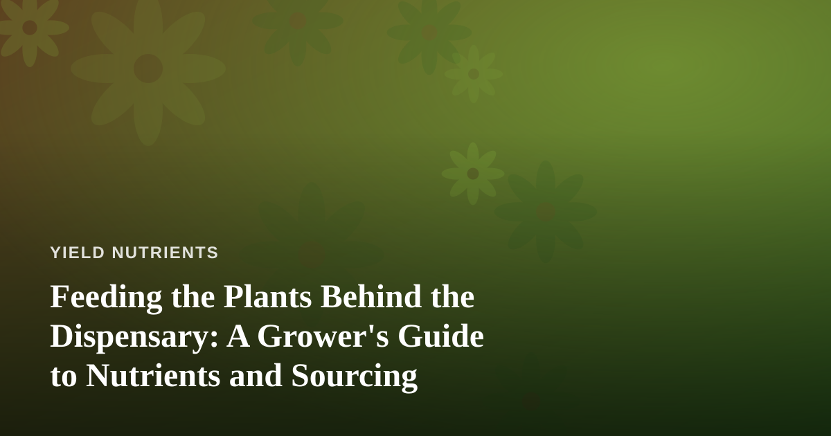 Feeding the Plants Behind the Dispensary: A Grower’s Guide to Nutrients and Sourcing