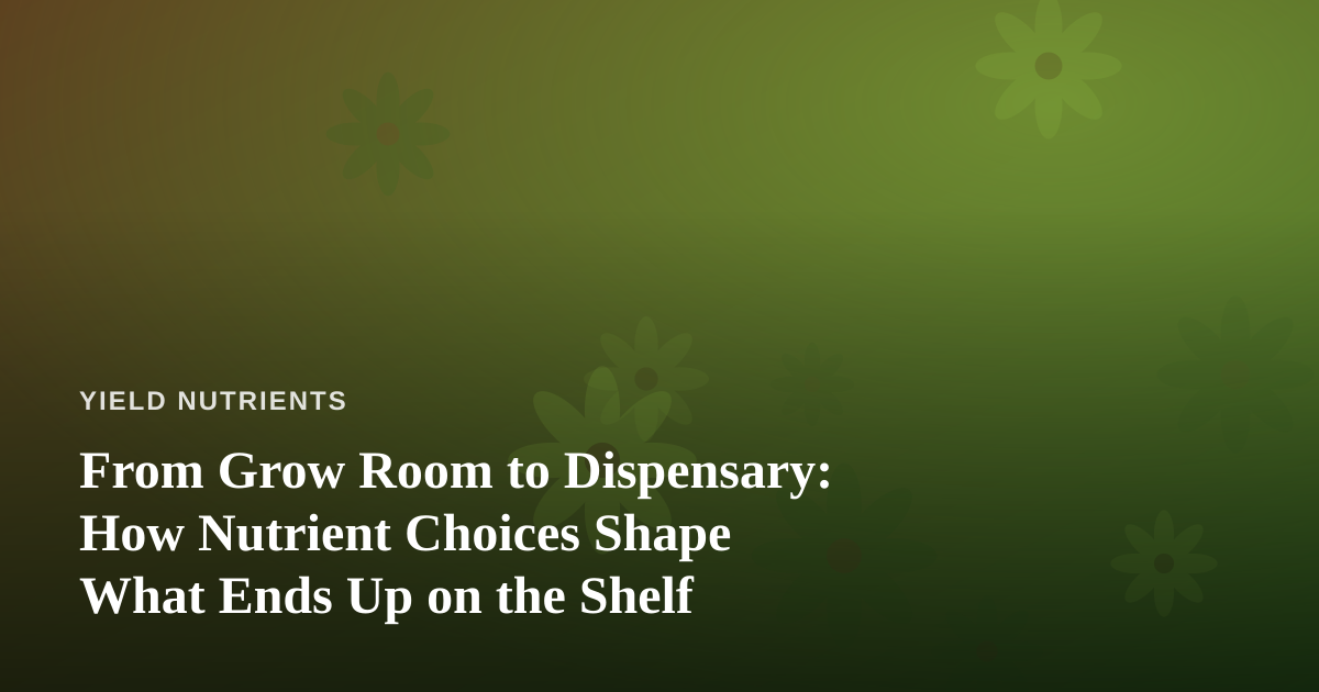 From Grow Room to Dispensary: How Nutrient Choices Shape What Ends Up on the Shelf