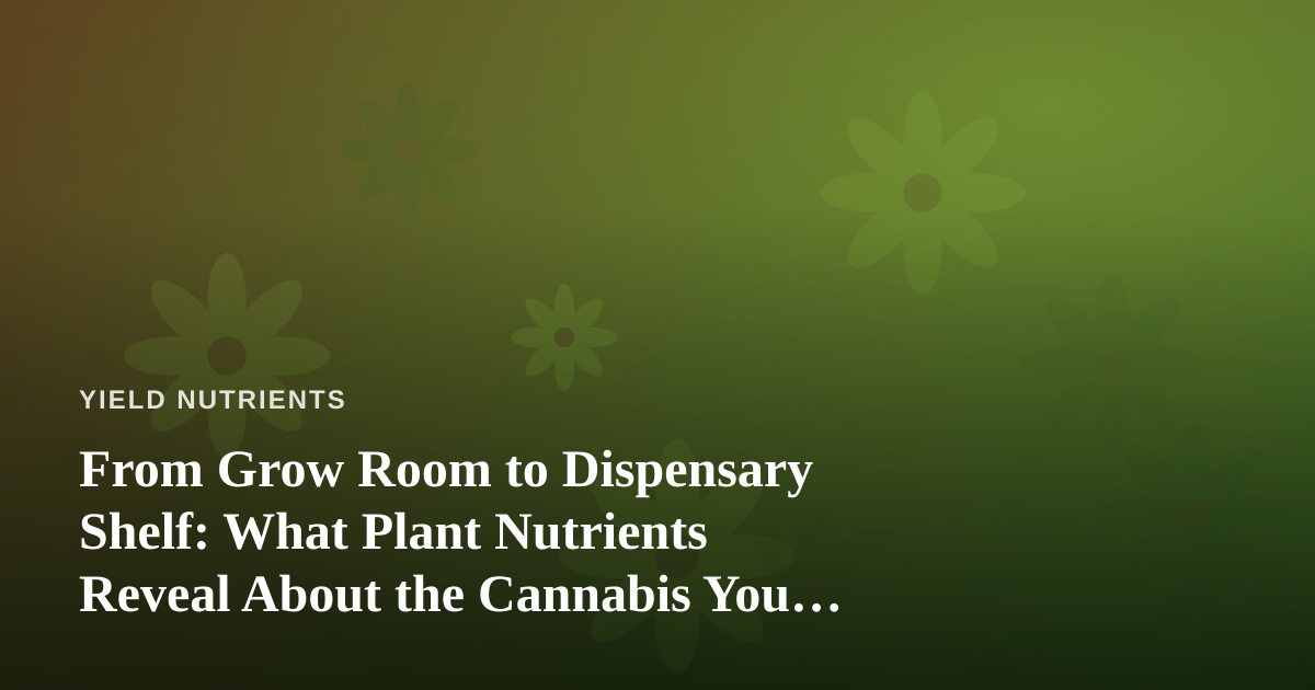 From Grow Room to Dispensary Shelf: What Plant Nutrients Reveal About the Cannabis You Buy