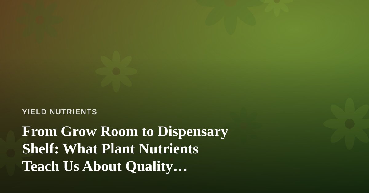 From Grow Room to Dispensary Shelf: What Plant Nutrients Teach Us About Quality Cannabis