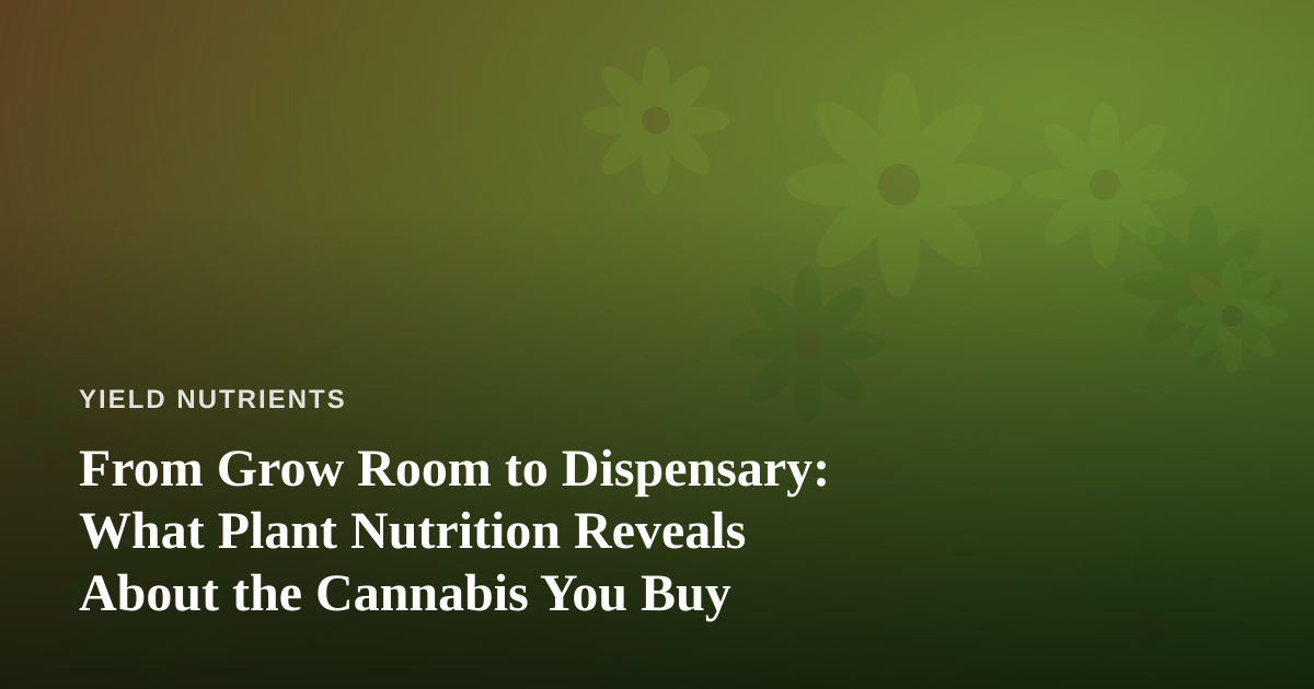 From Grow Room to Dispensary: What Plant Nutrition Reveals About the Cannabis You Buy