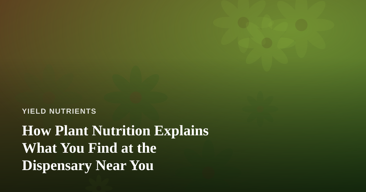How Plant Nutrition Explains What You Find at the Dispensary Near You