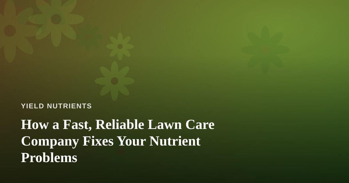 How a Fast, Reliable Lawn Care Company Fixes Your Nutrient Problems