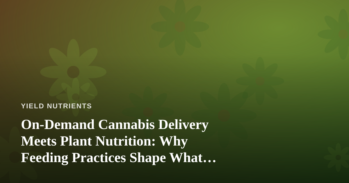 On-Demand Cannabis Delivery Meets Plant Nutrition: Why Feeding Practices Shape What Shows Up at Your Door