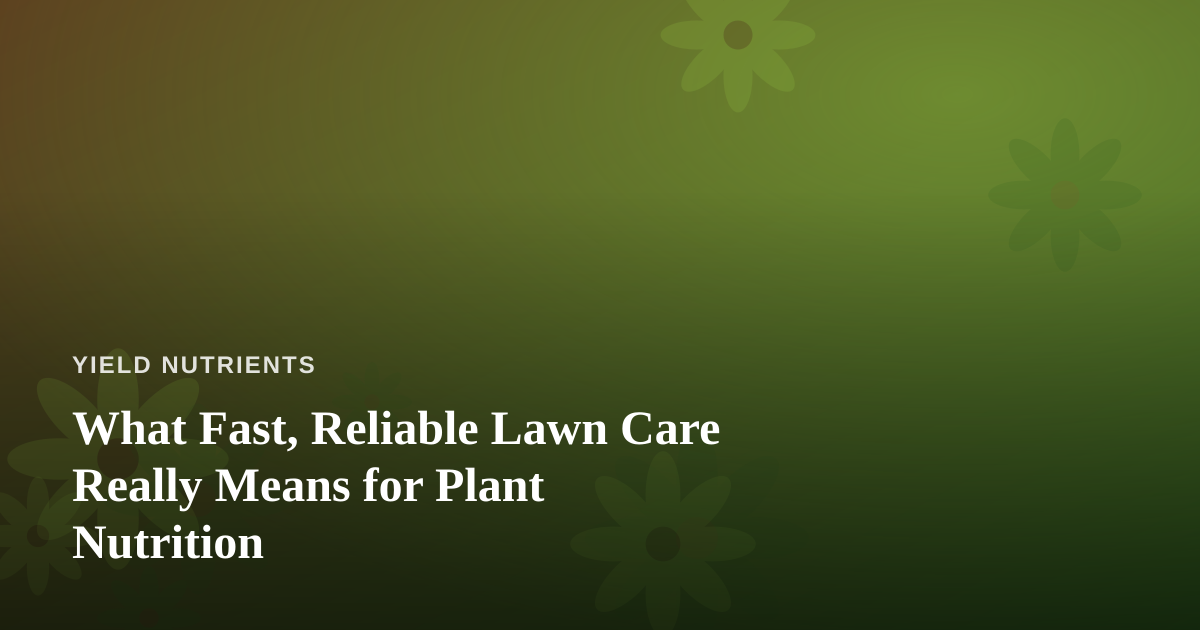 What Fast, Reliable Lawn Care Really Means for Plant Nutrition