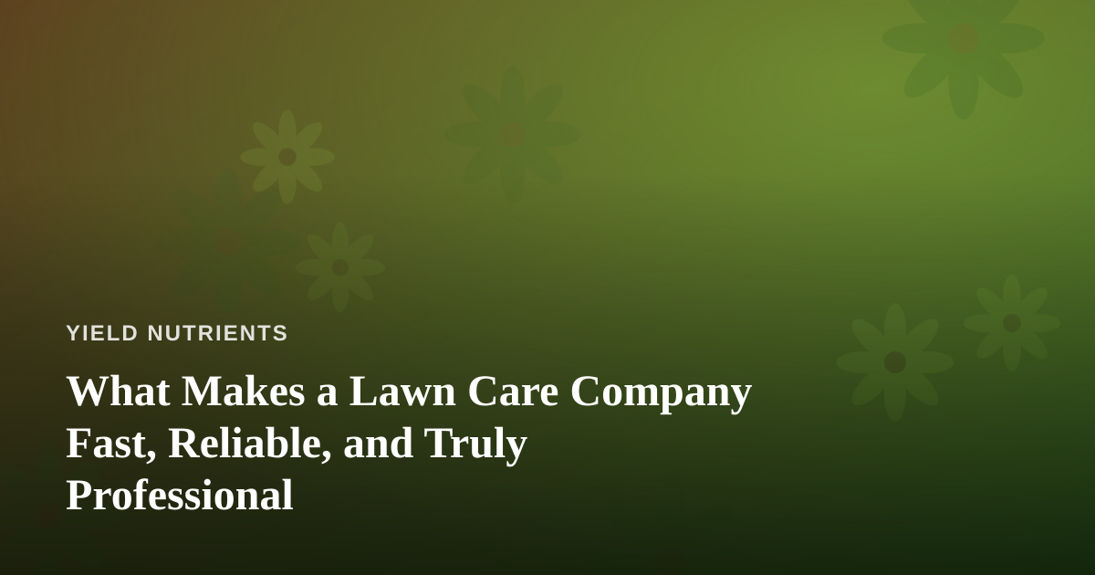 What Makes a Lawn Care Company Fast, Reliable, and Truly Professional