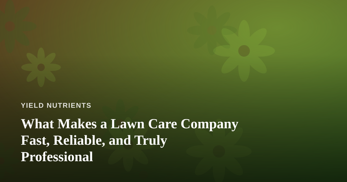 What Makes a Lawn Care Company Fast, Reliable, and Truly Professional