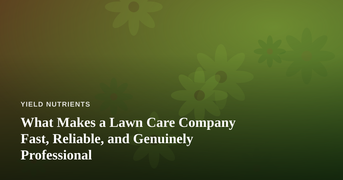 What Makes a Lawn Care Company Fast, Reliable, and Genuinely Professional