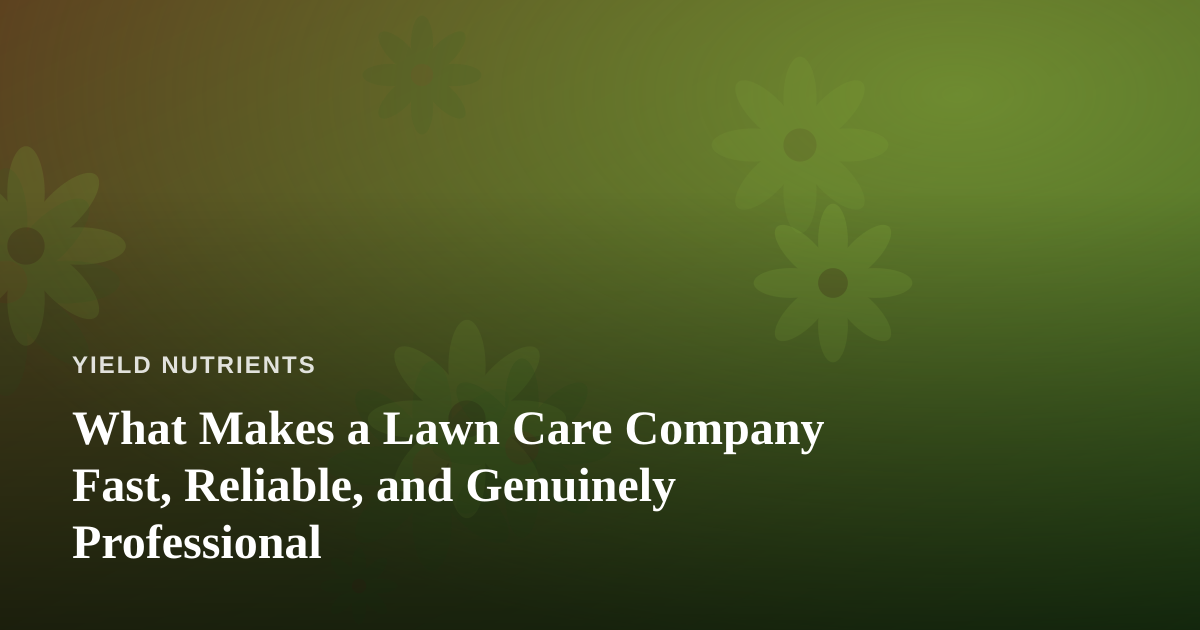 What Makes a Lawn Care Company Fast, Reliable, and Genuinely Professional