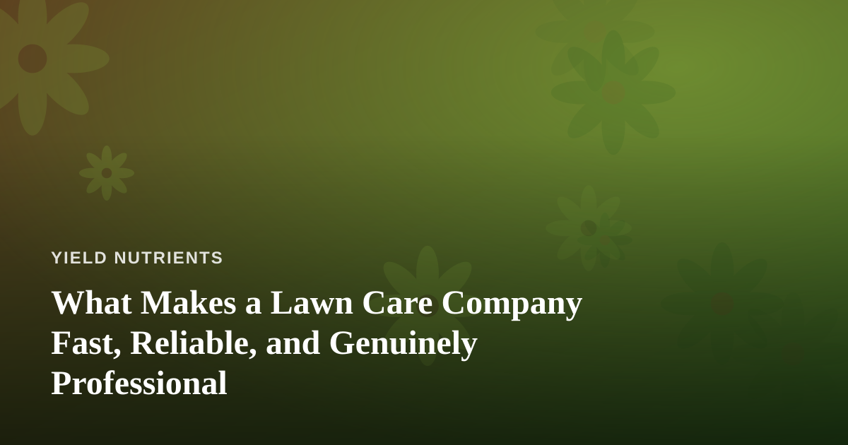 What Makes a Lawn Care Company Fast, Reliable, and Genuinely Professional