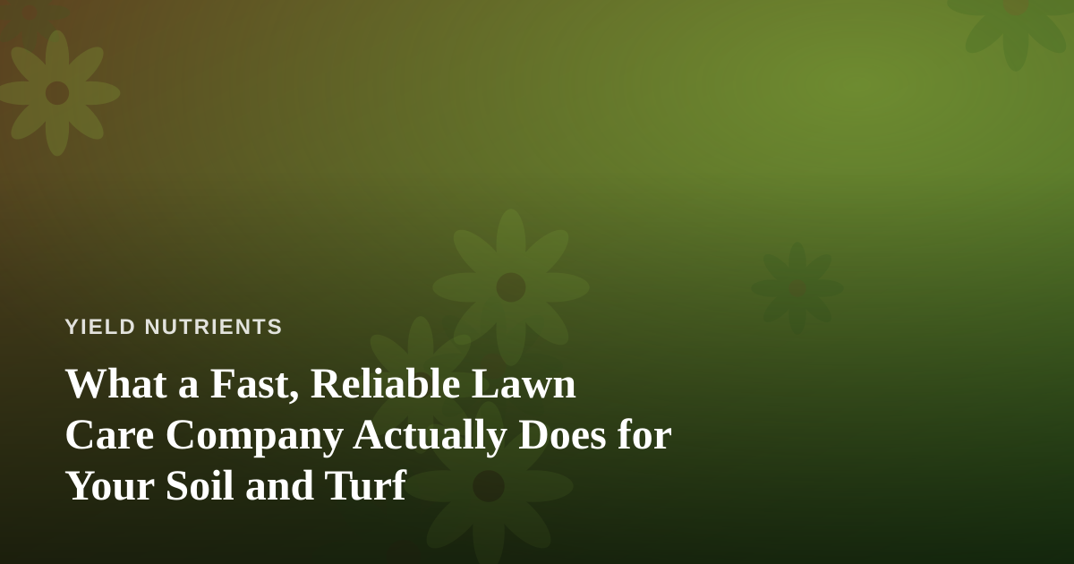 What a Fast, Reliable Lawn Care Company Actually Does for Your Soil and Turf