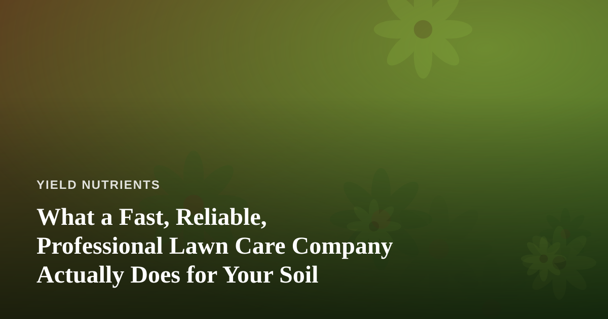 What a Fast, Reliable, Professional Lawn Care Company Actually Does for Your Soil