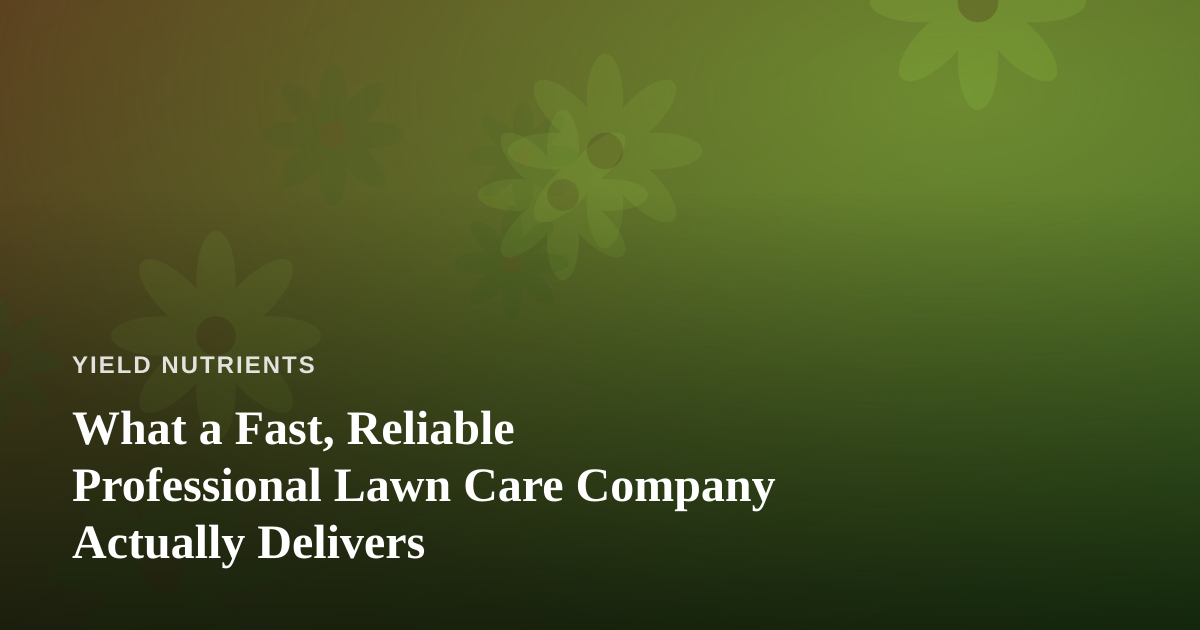 What a Fast, Reliable Professional Lawn Care Company Actually Delivers