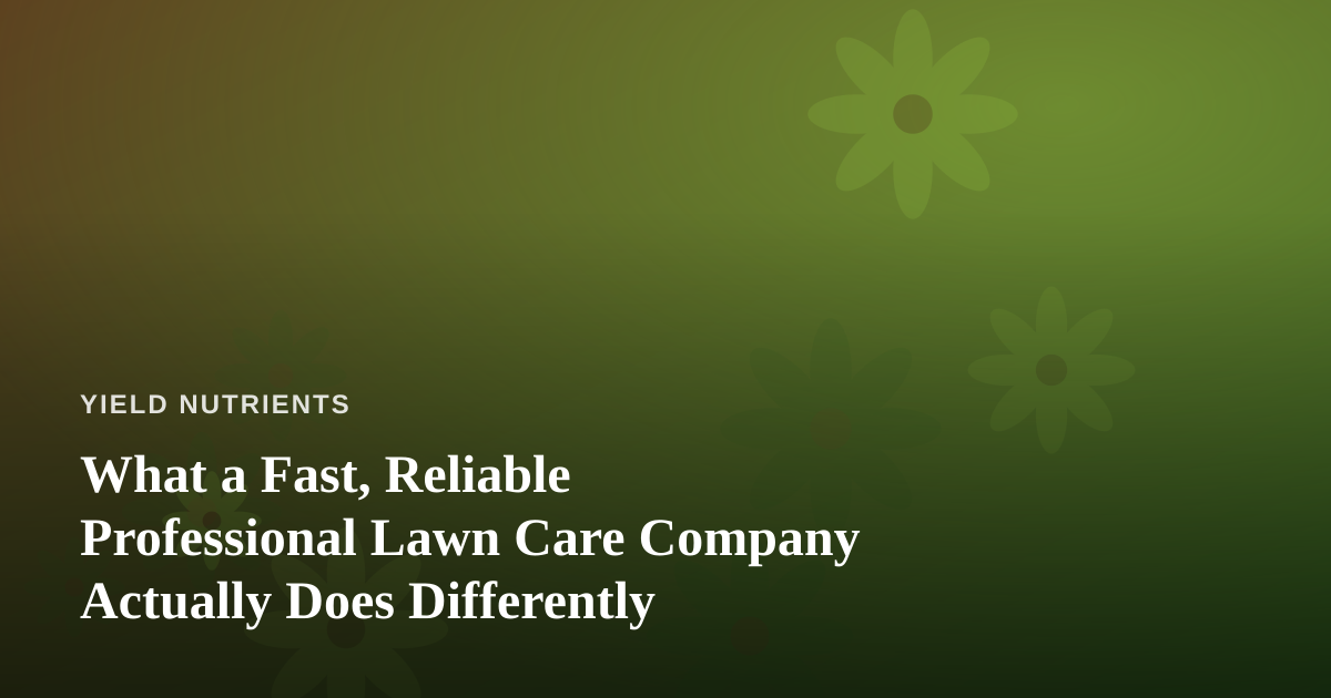 What a Fast, Reliable Professional Lawn Care Company Actually Does Differently