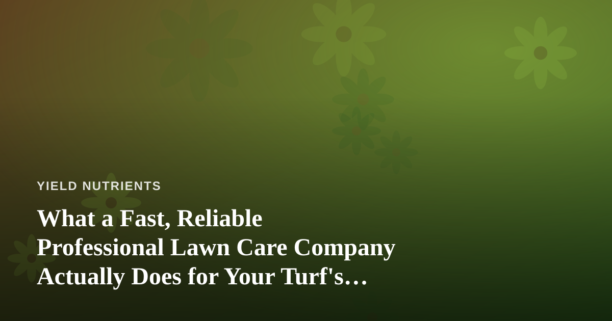 What a Fast, Reliable Professional Lawn Care Company Actually Does for Your Turf’s Nutrition