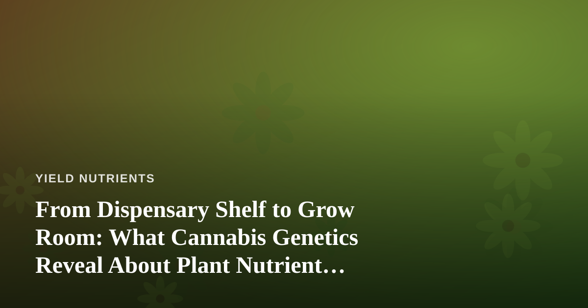 From Dispensary Shelf to Grow Room: What Cannabis Genetics Reveal About Plant Nutrient Needs