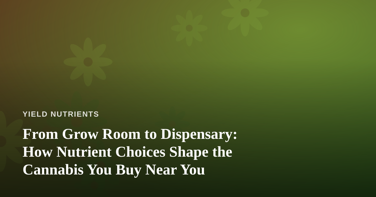 From Grow Room to Dispensary: How Nutrient Choices Shape the Cannabis You Buy Near You