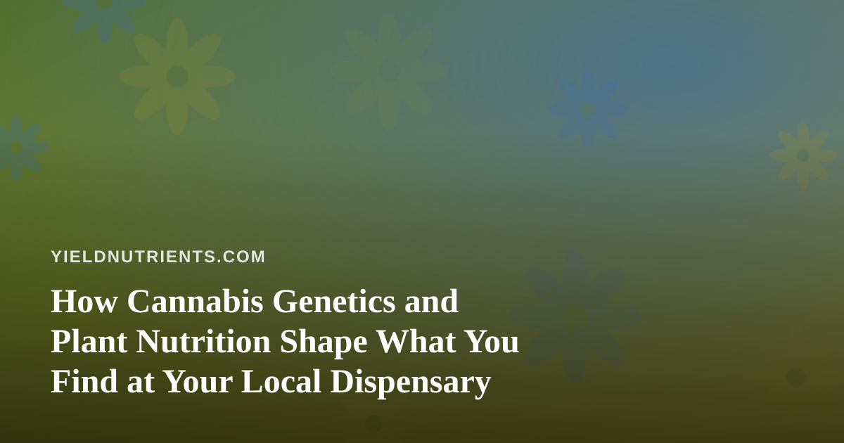 How Cannabis Genetics and Plant Nutrition Shape What You Find at Your Local Dispensary