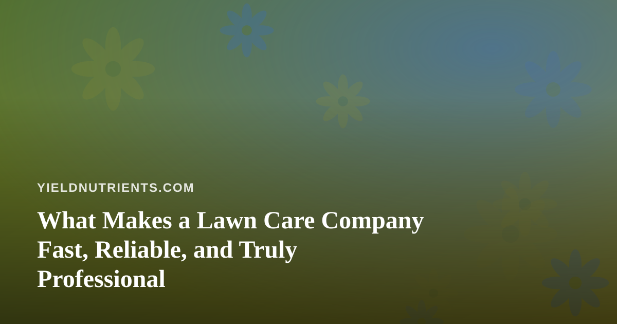 What Makes a Lawn Care Company Fast, Reliable, and Truly Professional