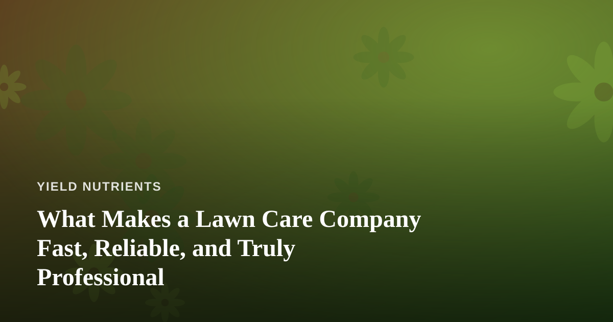 What Makes a Lawn Care Company Fast, Reliable, and Truly Professional