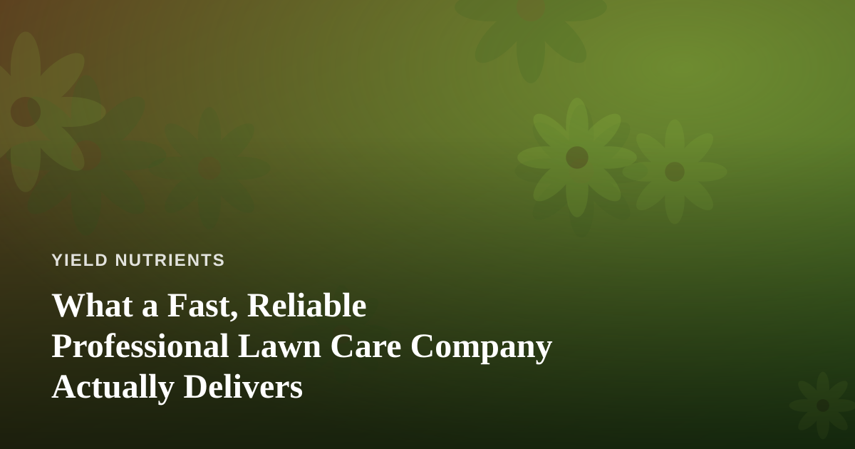 What a Fast, Reliable Professional Lawn Care Company Actually Delivers