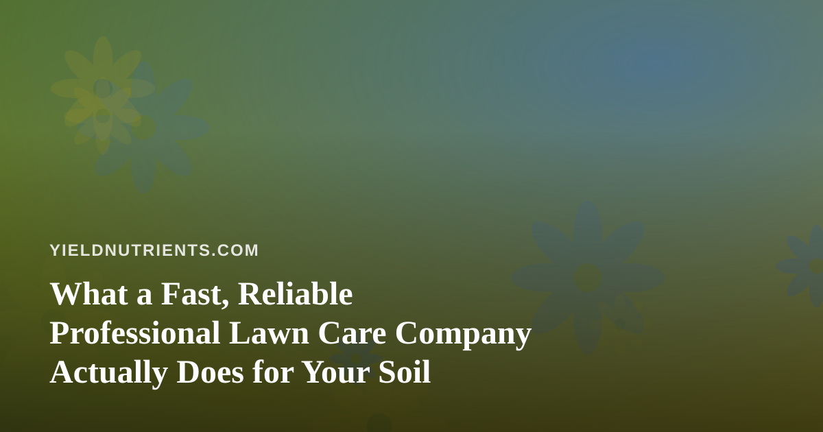 What a Fast, Reliable Professional Lawn Care Company Actually Does for Your Soil