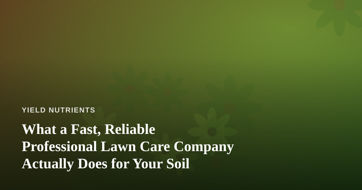 What a Fast, Reliable Professional Lawn Care Company Actually Does for Your Soil