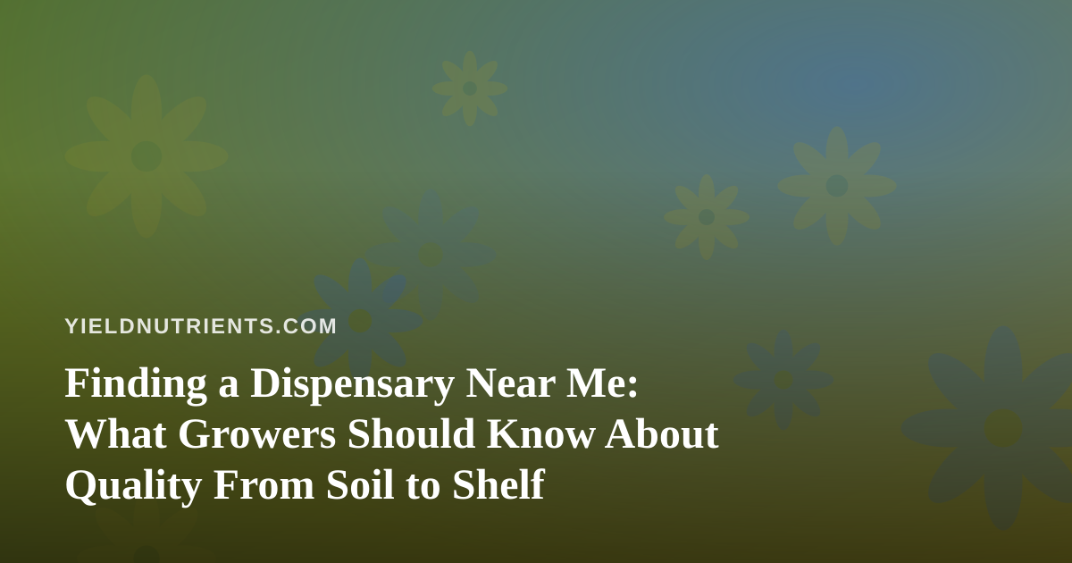 Finding a Dispensary Near Me: What Growers Should Know About Quality From Soil to Shelf